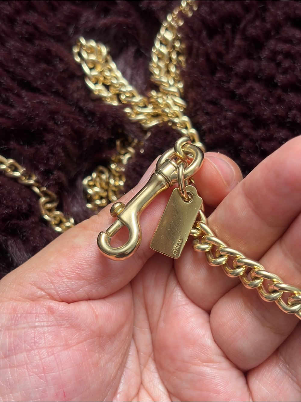 Coach Chain Strap - Picture 5 of 6